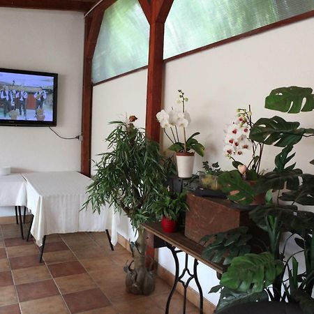 Setnik Guesthouse Valpovo Экстерьер фото